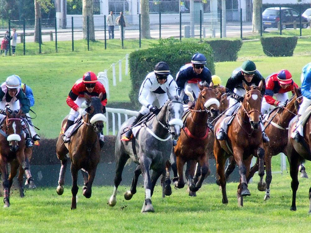 hippisme